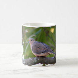 Sörjande duvafoto kaffemugg