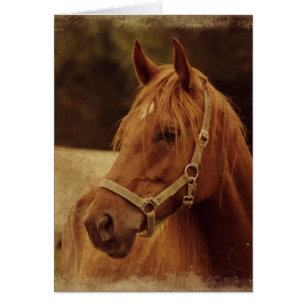 Sorrel Horse Grunge Hälsningskort
