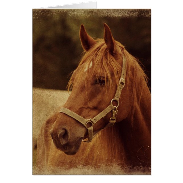 Sorrel Horse Grunge Hälsningskort (Framsidan)