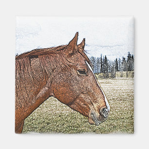 Sorrel Horse Porträtt Equine Art Illustration Magnet