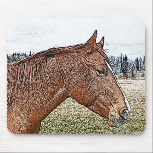 Sorrel Horse Porträtt Equine Art Illustration Musmatta