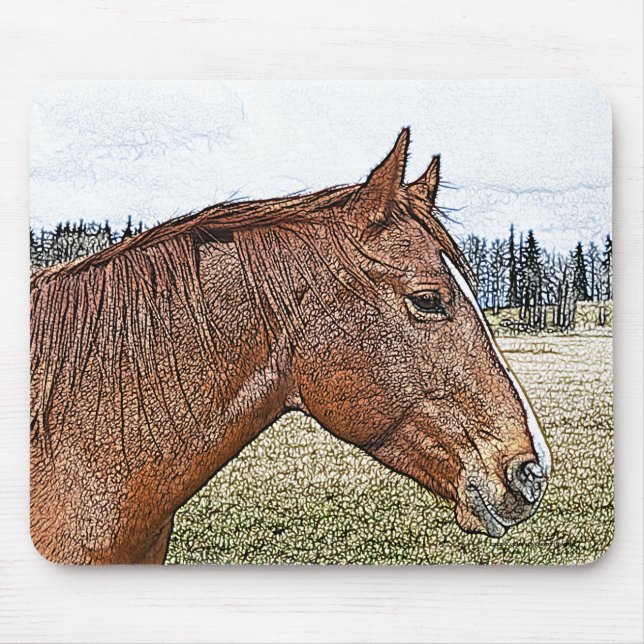 Sorrel Horse Porträtt Equine Art Illustration Musmatta (Framsidan)