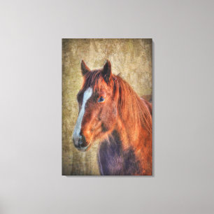 Sorrel Horse Porträtt om Rustic Grunge-effekt Canvastryck