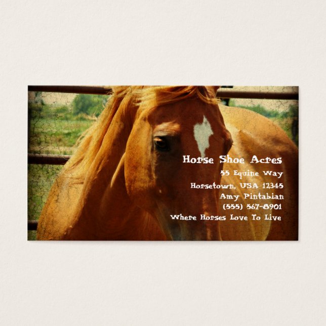 Sorrel i Round Pen Visitkort (Framsidan)