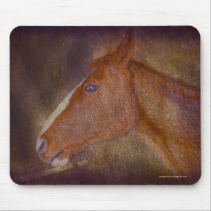Sorrel Stallion i en Barn Stall Equine Art Musmatta