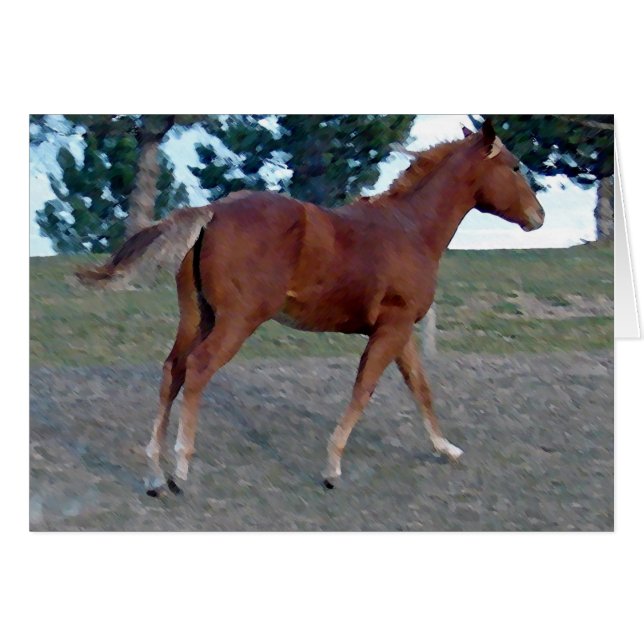 Sorrel Yearling Hälsningskort (Framsidan Horizontal)
