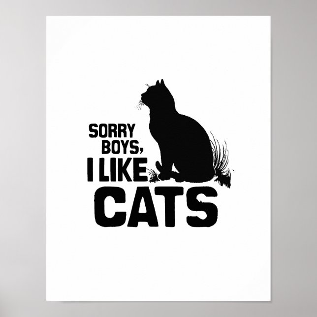 SORRY BOYS JAG TYCKER OM CATS -.png Poster (Framsidan)