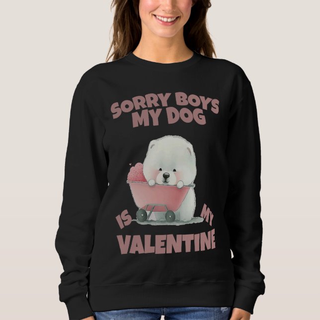 Sorry Boys My Dog Is My Valentine  Dog   19 T Shirt (Framsida)