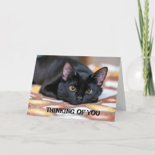 *SORRY FOR DITT FÖRLUST* KORT