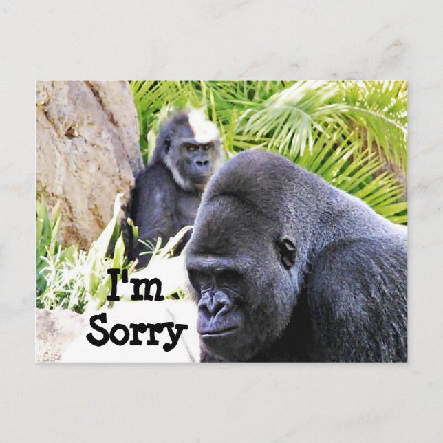 Sorry!_ Vykort (Framsida)