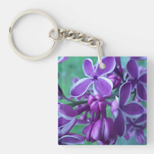 Sort av lilac i färg