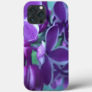 Sort av lilac i färg