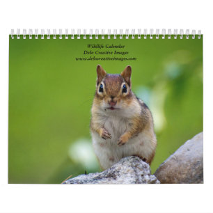 Sort av vilt 2026 kalender