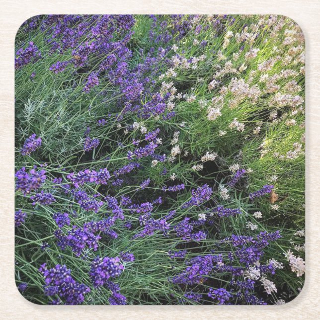 Sort Lavender Underlägg Papper Kvadrat (Framsidan)