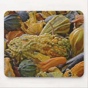 Sort squash musmatta