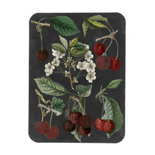 Sorter av fruktodlingar I Magnet