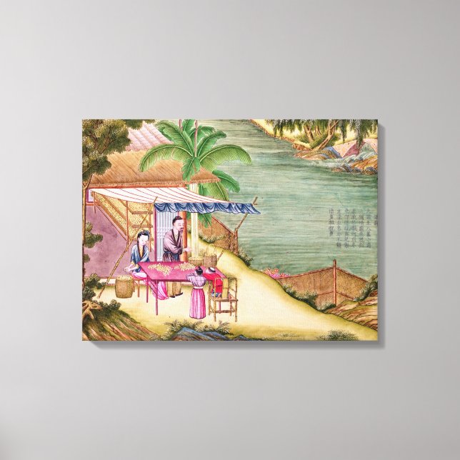 Sortera kokongerna canvastryck (Framsida)