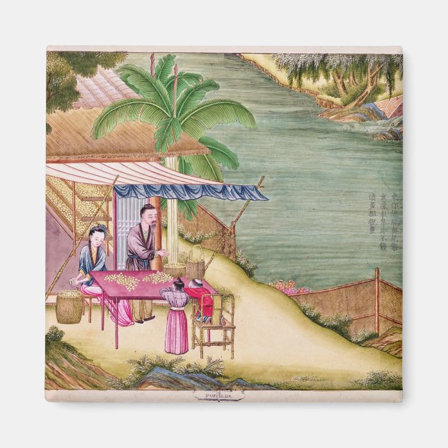 Sortera kokongerna magnet (Framsidan)