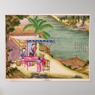 Sortera kokongerna poster