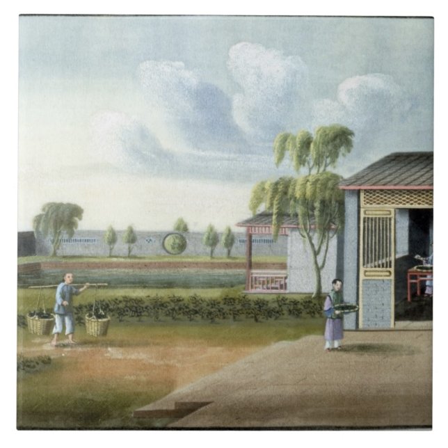 Sorteringtea (w/c på papper) kakelplatta (Framsidan)