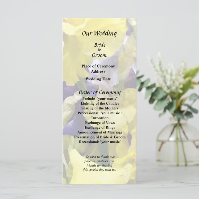 Sortiment av gula och lila iris program (Stående Fram)