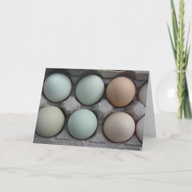 Sortpack Kort (Framsida)