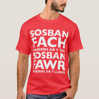 Sosban Fach Yn Berwi Ar Y solbränd T-tröja T-shirt
