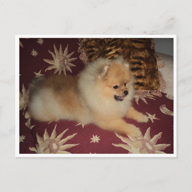 Sosseu Vykort (Framsida)