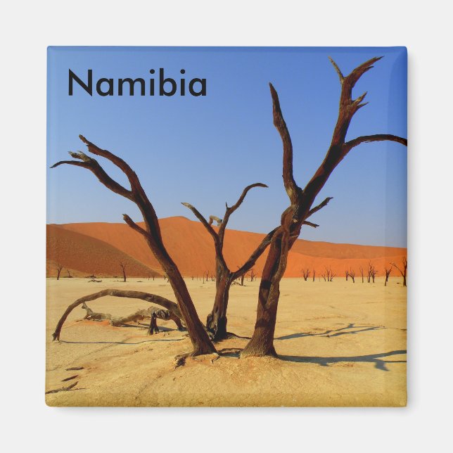 Sossusvlei Namibie Magneet Magnet (Framsidan)
