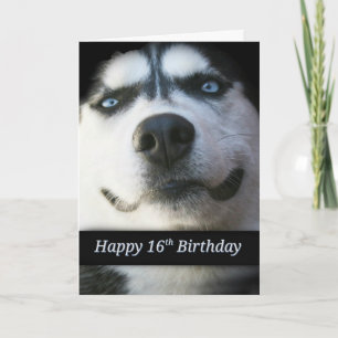 Söt 16:e födelsedagskortet, Cute Husky Inbjudan