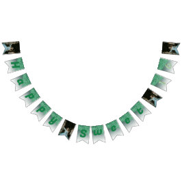 Söt 16 Party, Fallande Grönt Glitter och 4 foton Vimplar