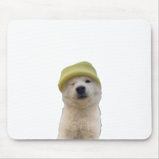 söt ahh dawg musmatta