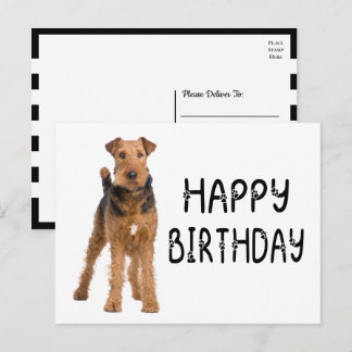 Söt Airdale Terrier Valp Glad Födelsedag Vykort