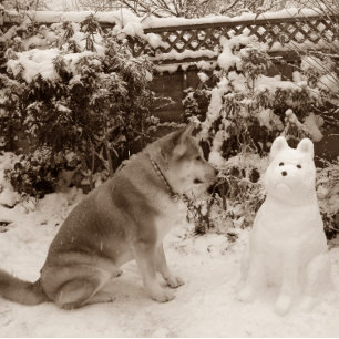 Söt akita i snö med snögubbe akita hund-foto pussel