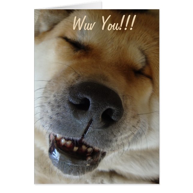 Söt akita-leende rolig hund kärlek hälsningskort (Framsidan)