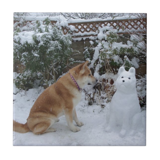 söt akita sitta med snögubbe i snö hund kakelplatta (Framsidan)