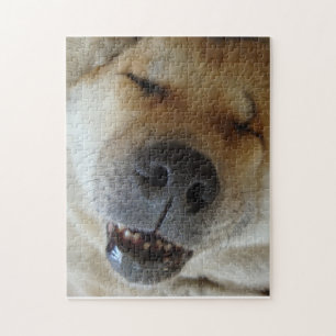 Söt akita sover lustigt leende hund bild pussel
