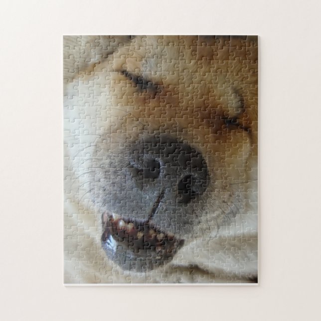 Söt akita sover lustigt leende hund bild pussel (Vertikal)