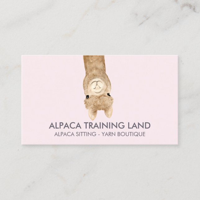 Söt Alpaca-butik Visitkort (Framsida)
