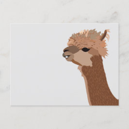 Söt Alpaca Djur Vykort