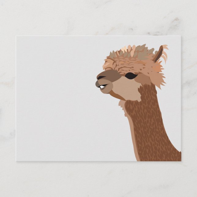 Söt Alpaca Djur Vykort (Framsida)