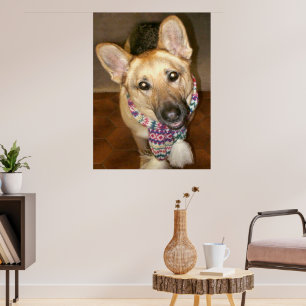 Söt älsklig tysk schäferhund med halsduk poster