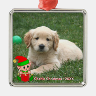 Söt Alv & Skräddarsydd Foto på Golden Retriever-va Julgransprydnad Metall