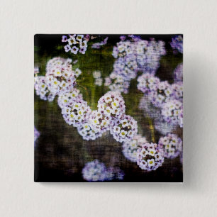 Söt Alyssum i Grunge Knapp