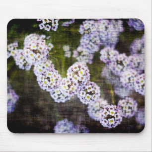 Söt Alyssum i Grunge Musmatta