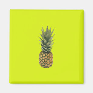 Söt ananas magnet