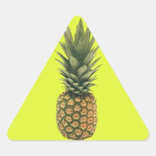 Söt ananas triangelformat klistermärke
