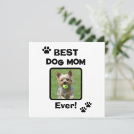 Söt Anpassa Bästa Husdjur Hund Katt Mamma Mamma Al