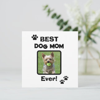 Söt Anpassa Bästa Husdjur Hund Katt Mamma Mamma Al