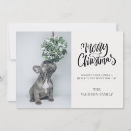 Söt Anpassad Hund Foto Mistel Jul Julkort